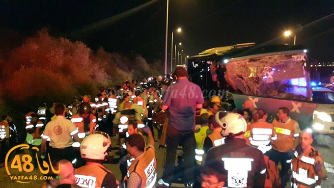 Accjs latroona (6).jpg